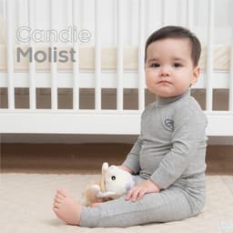 BU Molist image 0