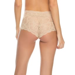 Bikini Brief Shape image 6