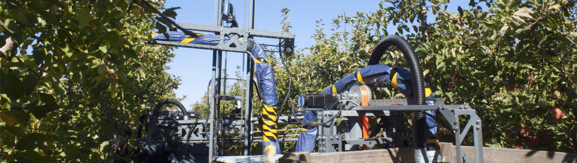 Ripe Robotics