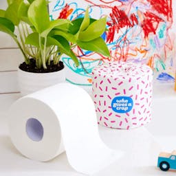 100% Recycled Toilet Paper image 1